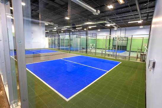 Adult Pickleball